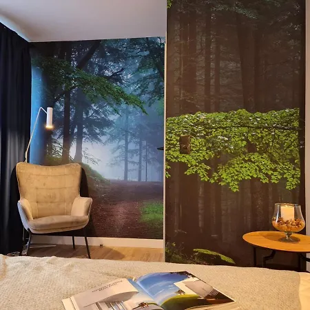 Szklarka Apartment